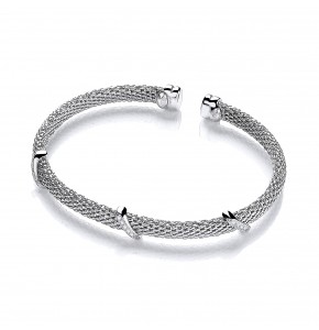 Rebecca Bangle