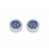 Bailey Blue & Clear Studs