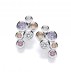 Lizandra Earrings