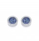 Bailey Blue & Clear Studs